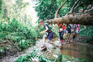 BIB: 
                            <button type="button" onclick="openModal(25517156)" class="btn btn-primary btn-sm float-right btn-popup" data-toggle="modal" data-target=".modal-high-quality">
                        <i class="fas fa-shopping-cart"></i> Add to Cart
                    </button>
                                            <button type="button" onclick="isThisMe(25517156, true)" class="btn btn-success btn-sm float-right btn-popup btn-isme hidden" data-toggle="tooltip" data-placement="bottom" title="นี่คือรูปของคุณใช่ไหม คลิกที่นี่เพื่อเอาเข้าอัลบั้ม">
                        <i class="fas fa-plus"></i> Add to album
                    </button>
                    <button type="button" onclick="isThisMe(25517156, false)" class="btn btn-warning btn-sm float-right btn-popup btn-isnotme hidden">
                        <i class="fas fa-ban"></i> Remove from album
                    </button>